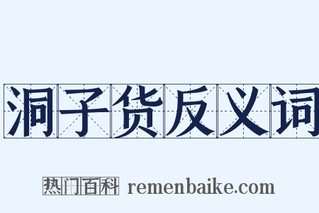 洞子货反义词是什么意思的图片